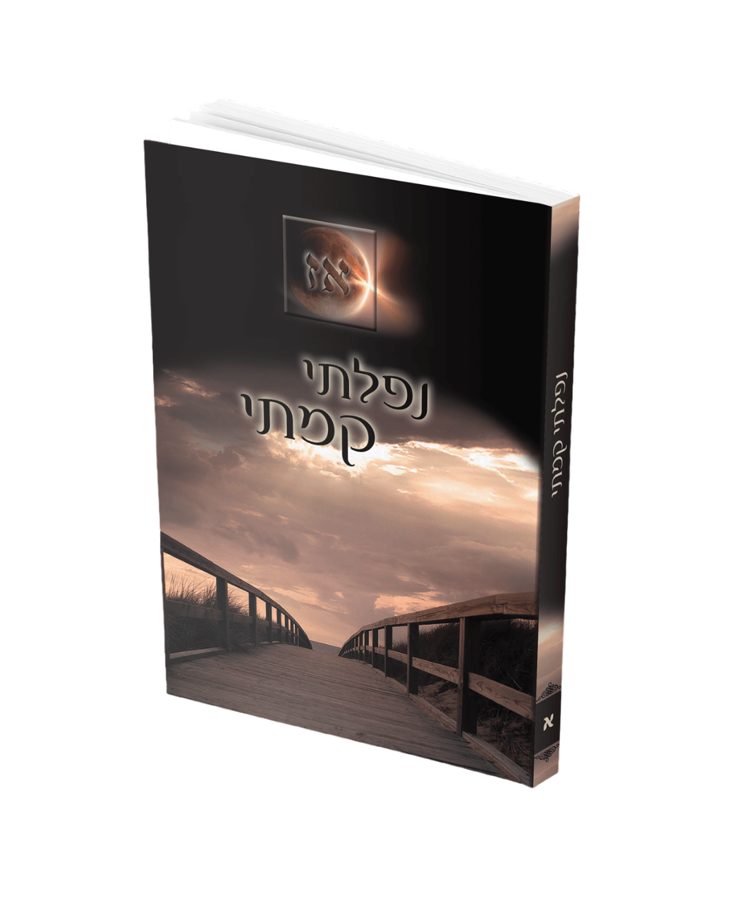 נפלתי קמתי א