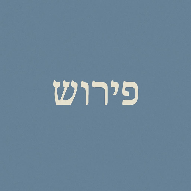 פירוש