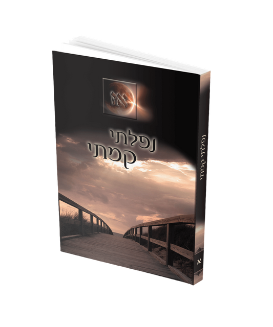 נפלתי קמתי א